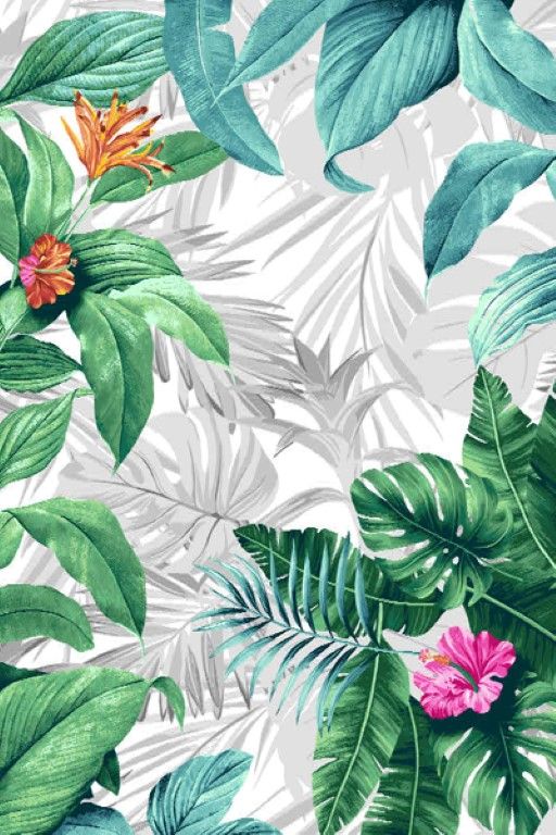 Avatar 300cm x 400cm Wild Floral Indoor and Outdoor Rugs - Silver Green